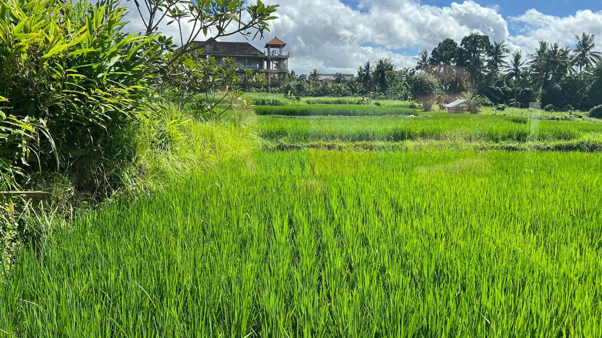 Villa Karma Ubud Exterior foto